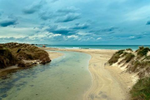 Isola Grande - Porto Cesareo