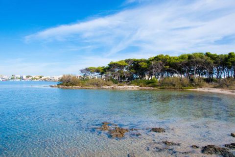 Isola Grande - Porto Cesareo