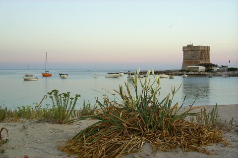 Porto Cesareo