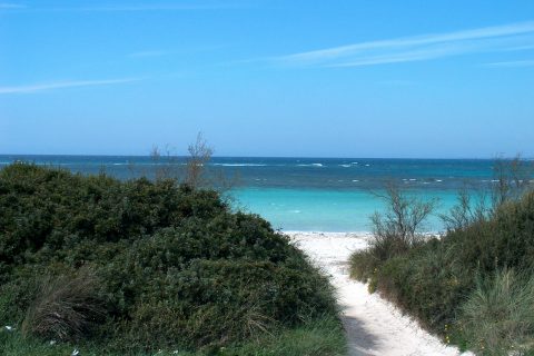 Porto Cesareo