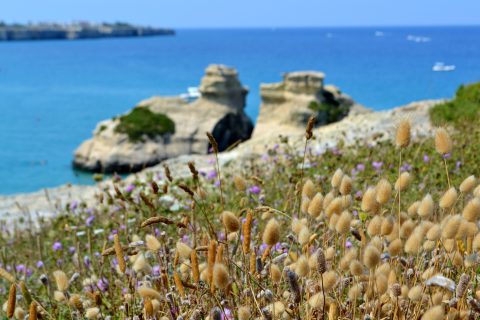 Torre dell'Orso 